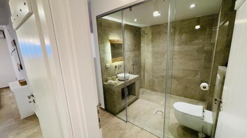 a bathroom with a toilet and a sink and a shower at Aeris suites pori semi basement villa in Koufonisia