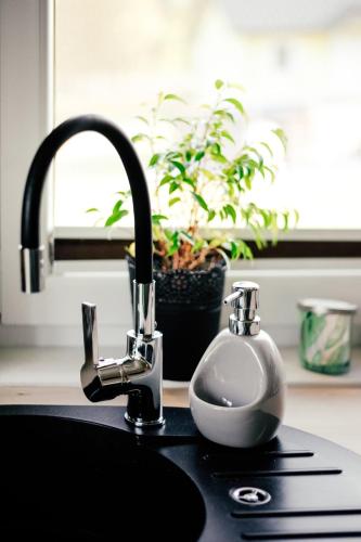 a kitchen sink with a soap dispenser next to a kitchen sink at Brzozowy Zakątek in Dąbki
