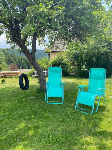 two chairs sitting in the grass under a tree at Nocleg pod Turbaczem in Nowy Targ