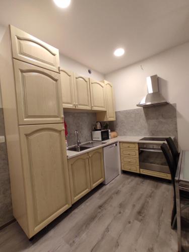 A cozinha ou cozinha compacta de Apartment Ravnice