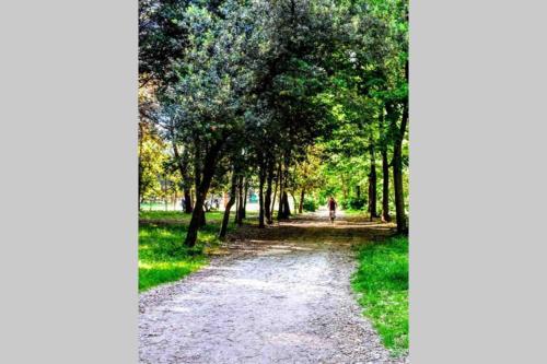 a dirt road in a park with trees at Appartamento nel cuore di Viareggio in Viareggio