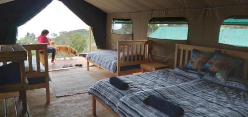 a bedroom with a bed and a woman in a tent at Trees&Seas - Glamping with farm animals in Wilderness
