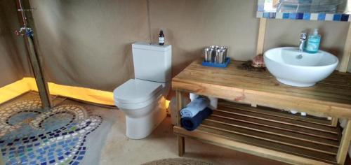 a bathroom with a toilet and a sink at Trees&Seas - Glamping with farm animals in Wilderness