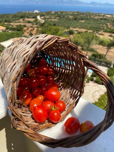 Gallery image of Lithies Sea View Boutique Hotel in Koríthion