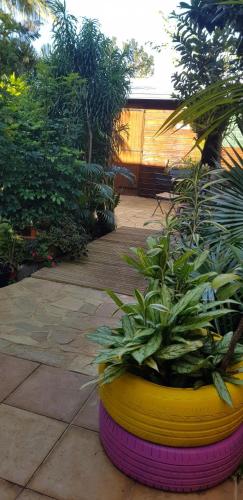 a large yellow and pink pot with plants in it at KAZBONZAMIS in Sainte-Clotilde