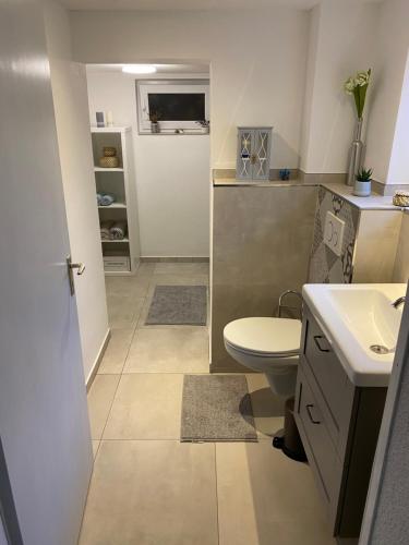 a bathroom with a toilet and a sink at Ferienwohung am Edersee in Waldeck Sachsenhausen in Waldeck