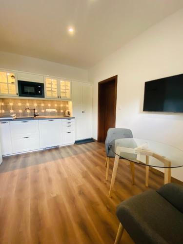 Kuchyň nebo kuchyňský kout v ubytování Apartmány V uličce Frymburk