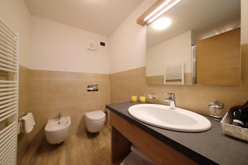 bagno con lavandino e servizi igienici di Danubio - Happy Rentals a Livigno