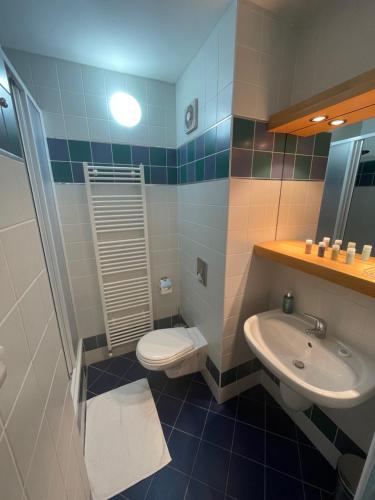 a bathroom with a toilet and a sink at Hotel Laguna & restaurant in České Budějovice
