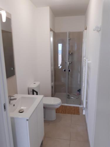 a white bathroom with a shower and a toilet at Studio les pieds dans l'eau vue sur mer in Linguizzetta