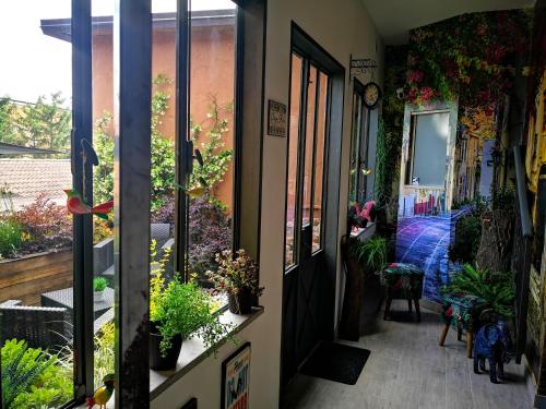 una habitación con plantas en el lateral de un edificio en appartment & rooms SecondoPiano en Cividale del Friuli