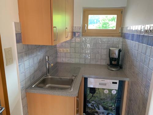 a small kitchen with a sink and a fish tank at FeWo Lüttich in Etmissl