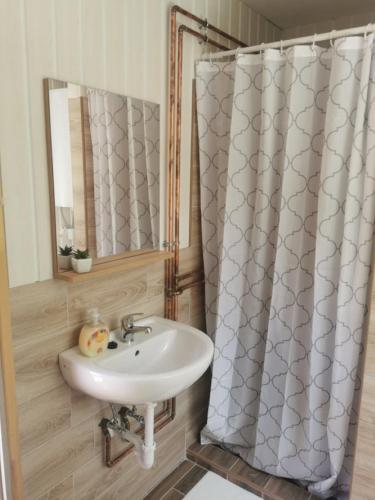 a bathroom with a sink and a shower curtain at Sára Vendégház 2 in Szentes