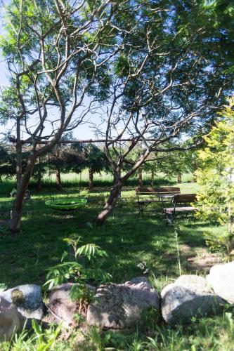 a park with a picnic table and a tree at W Sercu Mazur in Harsz