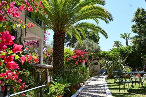a palm tree in a garden with pink flowers at Uma Casa a Beira Sol in Lagos