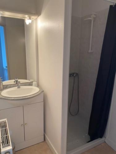 uma casa de banho com um lavatório e um chuveiro com uma cortina de chuveiro em Hotel le faubourg em La Guerche-de-Bretagne