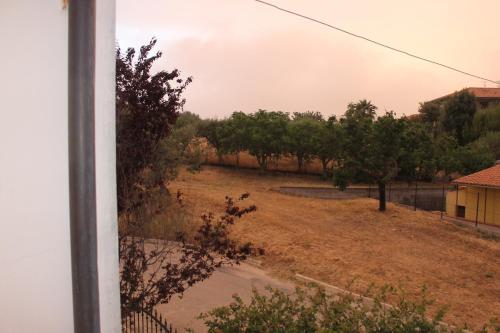 a view from a window of a field with trees at Sinilù B&B in Silvi Paese