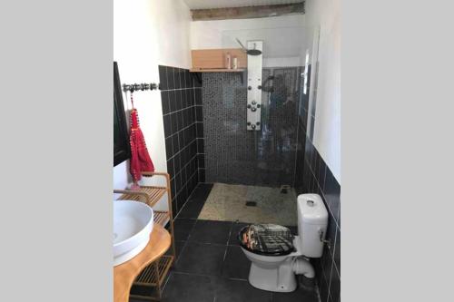 a bathroom with a shower and a toilet and a sink at vacances au vert in Baillif
