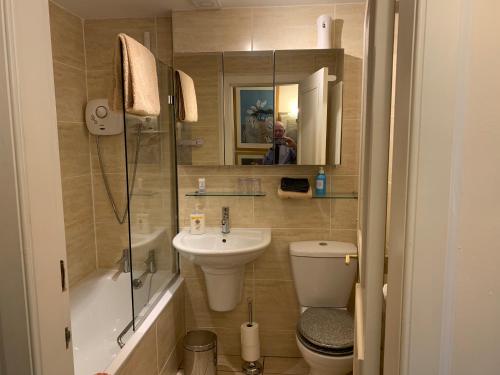 a bathroom with a sink and a toilet and a shower at geraldsplace in Edinburgh
