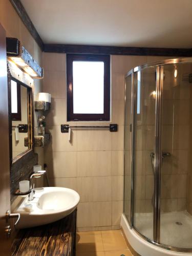 a bathroom with a sink and a shower at Pamporovo Villa in Pamporovo