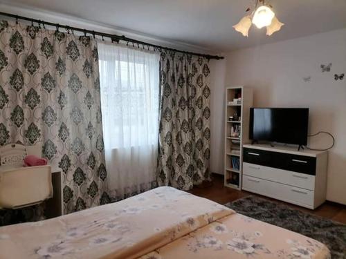 a bedroom with a bed and a flat screen tv at Pensiunea Brezu in Sighetu Marmaţiei