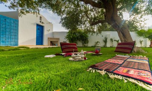 a picnic in the grass under a tree at Villa Jasmin in Houmt Souk