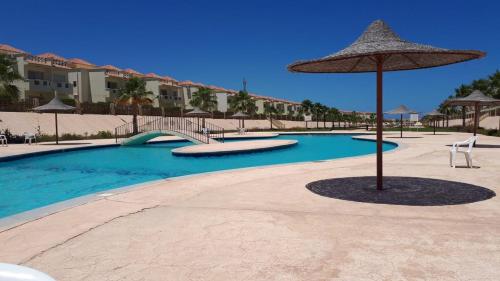 a large swimming pool with an umbrella and chairs at Amazing Villa North Coast Egypt in El Alamein