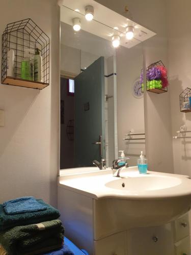 une salle de bain avec un lavabo et un grand miroir dans l'établissement Appartement Terrasse - Hypercentre, à Avignon