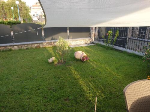 a garden with a small tree in the grass at B&B Villa Chiara - Bed And Breakfast in Taormina