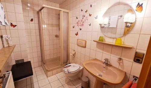 a bathroom with a sink and a shower and a toilet at Appertment Bärenstein 1 in Gößweinstein