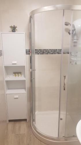 W łazience znajduje się prysznic ze szklanymi drzwiami. w obiekcie El Choco de Barruelo w mieście Barruelo de Santullán