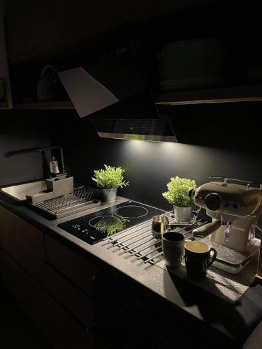 a kitchen with a stove top with plants on it at Apartman Plaža Lux in Veliko Gradište