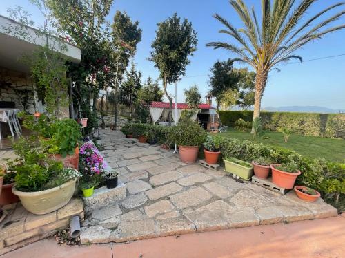 Zahrada ubytování Casa vacanze Sant'Antioco
