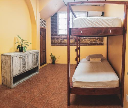 Katil dua tingkat atau katil-katil dua tingkat dalam bilik di Yellow Belly Backpackers