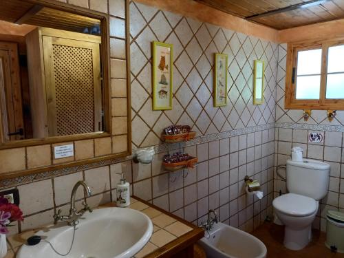 W łazience znajduje się umywalka, toaleta i lustro. w obiekcie Casa Maria w mieście Agulo