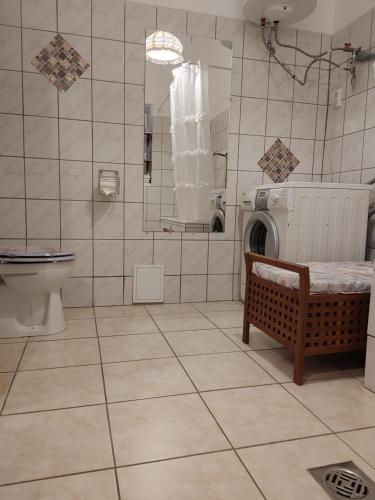 a bathroom with a washing machine and a toilet at Rokoko Apartman in Abádszalók