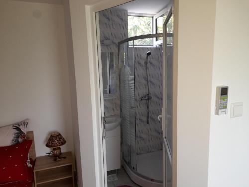 a shower with a glass door in a room at Casa Elena in Corbu