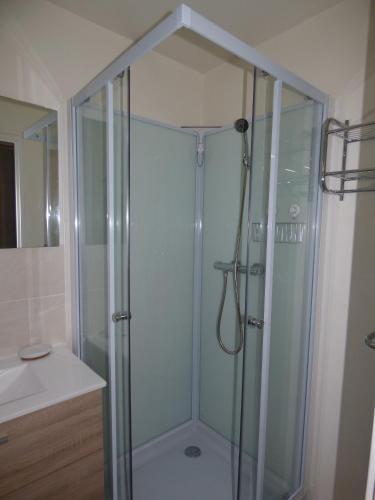 une douche avec une porte vitrée dans une salle de bain dans l'établissement Coquet Appartement T2, La Méditerranée, Narbonne Plage, à Narbonne-Plage