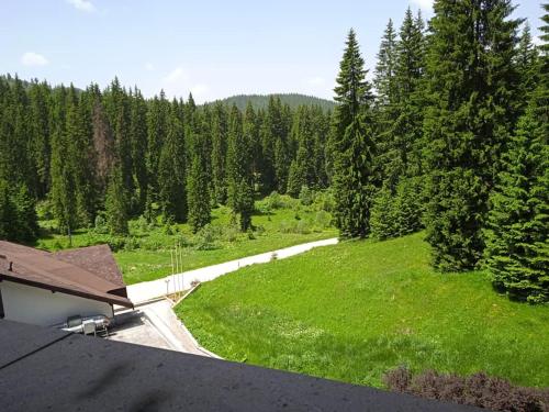 an overhead view of a green field with trees at Спа,ски апартамент Дайли, Стрийм Ризорт Пампорово in Pamporovo