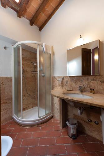 a bathroom with a shower and a sink at Locanda Vesuna Hotel Countryhouse in Pienza