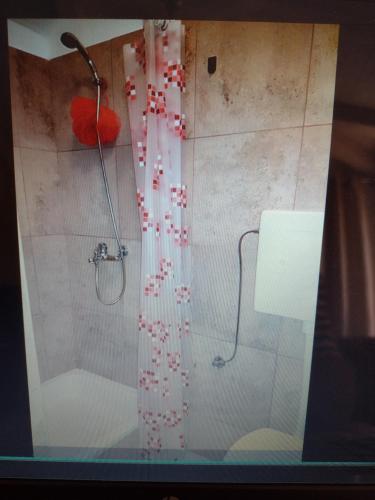a shower with a red and white shower curtain at Bruno in Bale