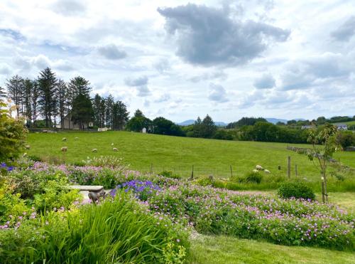 a field with a herd of sheep in a field with flowers at Brook Lodge in Glenties