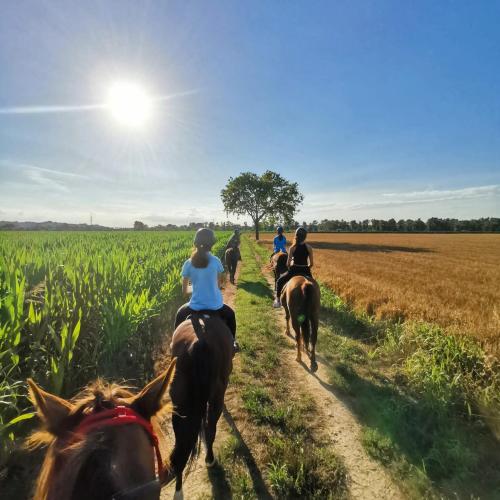 a group of people riding horses through a field at La Crota in Asti