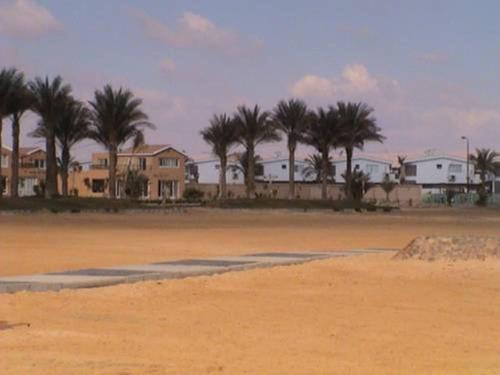 eine Gruppe von Häusern am Strand mit Palmen in der Unterkunft Marina Wadi Degla - A Ground Chalet with 360 Garden in Ain Sokhna in Ain Suchna