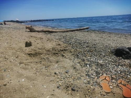 Pamela Sea Lodge Cap d Agde photo 39