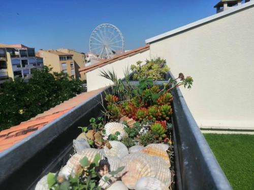 Pamela Sea Lodge Cap d Agde photo 32