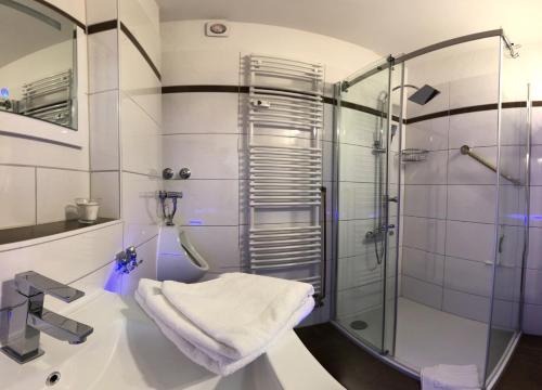 een badkamer met een douche en een wastafel bij Ferienwohnung Gold-Klee in Hahnenklee-Bockswiese