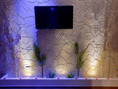 a wall with a tv on a wall with plants at Suite Natura Bed&Beauty Spa in Taranto