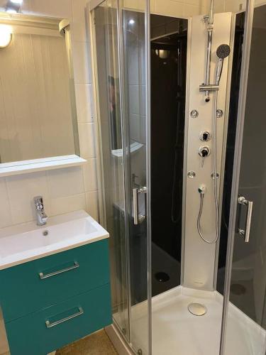La salle de bains est pourvue d'une douche en verre et d'un lavabo. dans l'établissement Studios des Remparts - Avallon, à Avallon