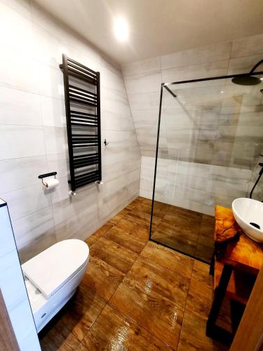 a bathroom with a shower and a toilet and a sink at Apartament U Maćków in Murzasichle